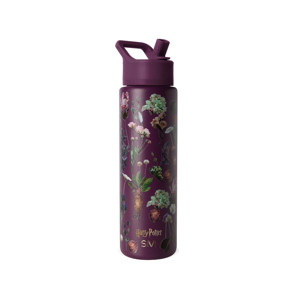 Summit Water Bottle with Straw Lid